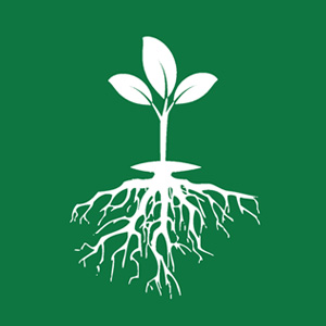 Ra rễ – Dưỡng cây